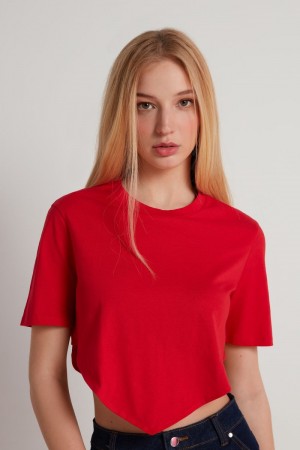 Dámské Crop Top Tezenis Krátké-Sleeved with V Cut Červené | CZ-AP9054762