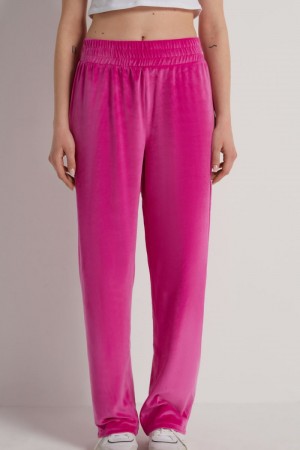 Dámské Kalhoty Tezenis Solid Color Chenille Růžové Fialové Fuchsie | CZ-YP3159607