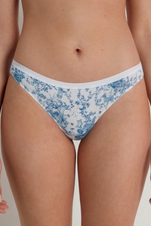 Dámské Slipy Tezenis Printed Cottonzilian Brief Světle Blankyt | CZ-SD9631450