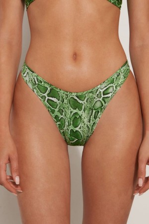 Dámské Spodní Díl Bikin Tezenis Tropical Snake High-Cut Brazilian Zelene Hadí Kůže | CZ-ED9368241