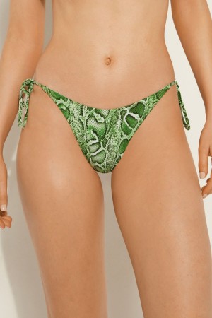 Dámské Spodní Díl Bikin Tezenis Tropical Snake String Zelene Hadí Kůže | CZ-IZ4872651