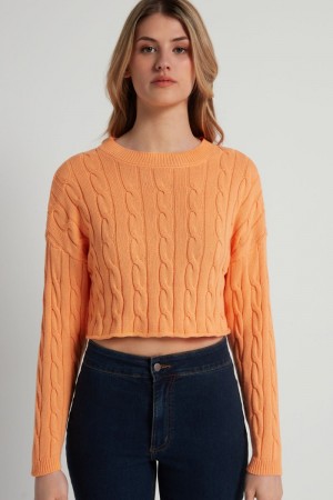 Dámské Svetry Tezenis Cropped Long-Sleeve Cable Knit in Fully-Fashioned Bavlněné Oranžové | CZ-IF6983570