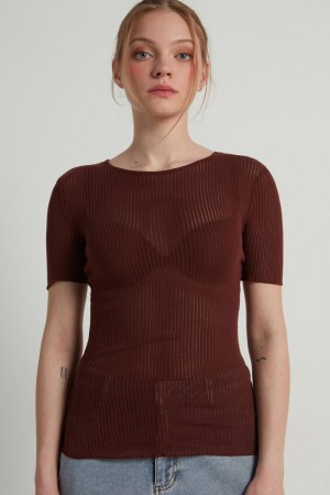Dámské Tričko Tezenis Krátké-Sleeve Crew-Neck Ultralight Žebrovaný Bavlněné Top Hnědé | CZ-WO4721039