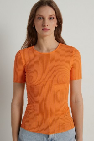 Dámské Tričko Tezenis Krátké-Sleeve Crew-Neck Ultralight Žebrovaný Bavlněné Top Oranžové | CZ-TY9340216