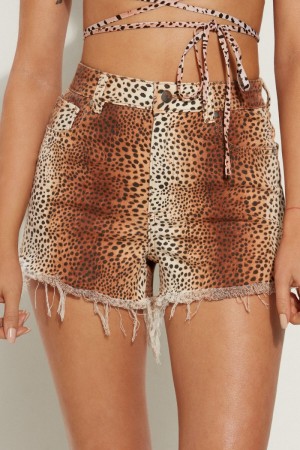 Dámské Šortky Tezenis High Rise Frayed Denim Vintage Animal Print | CZ-VA0952734