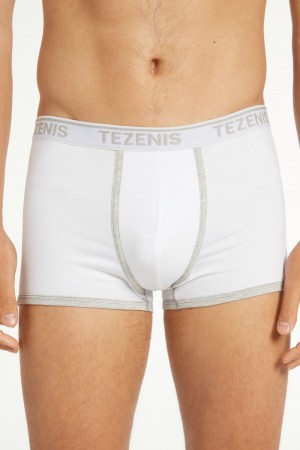 Pánské Slipy Tezenis Bavlněné Logo Boxerské with Contrasting Edging Bílé Světle Šedé | CZ-KM3942507