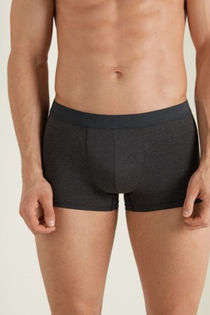 Pánské Slipy Tezenis Stretch Bavlněné Boxerské Brief Šedé | CZ-KX2587193
