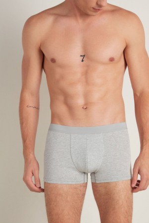 Pánské Slipy Tezenis Stretch Bavlněné Boxerské Brief Šedé | CZ-JP3450792