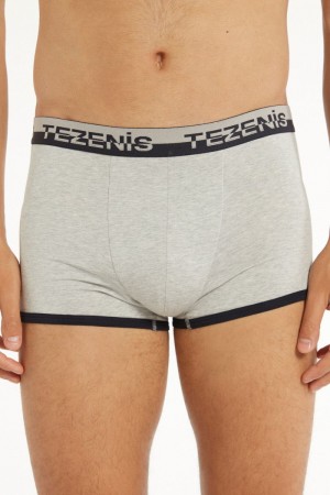 Pánské Spodní Prádlo Tezenis Bavlněné Boxers with Logo Elastic Band Blankyt Světle Šedé Tmavě Blankyt | CZ-HQ2697503