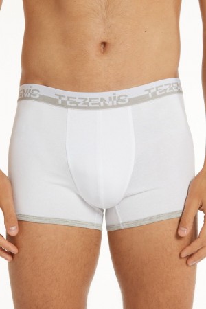 Pánské Spodní Prádlo Tezenis Bavlněné Boxers with Logo Elastic Band Bílé Světle Šedé | CZ-NL6285713