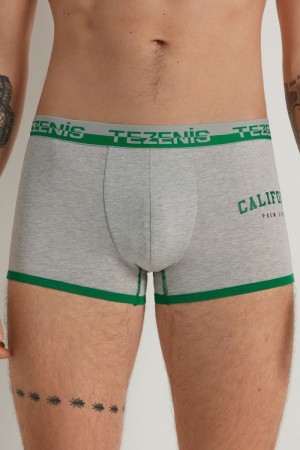 Pánské Spodní Prádlo Tezenis Printed Bavlněné Boxers with Logo Elastic Waistband Šedé | CZ-FY2845371
