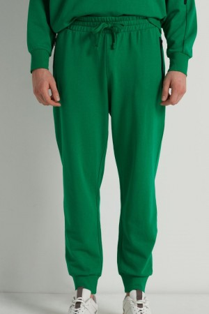 Pánské Tepláky Tezenis Sweatpants with Zip Pocket Zelene | CZ-JF3647098