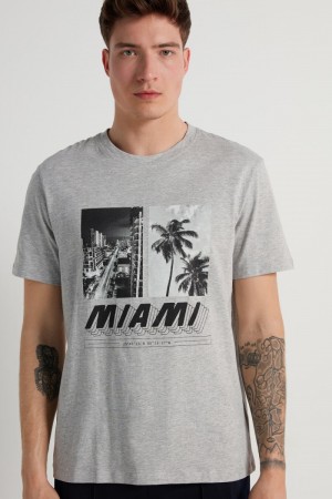Pánské Tričko Tezenis Printed Bavlněné Šedé | CZ-FD5873214