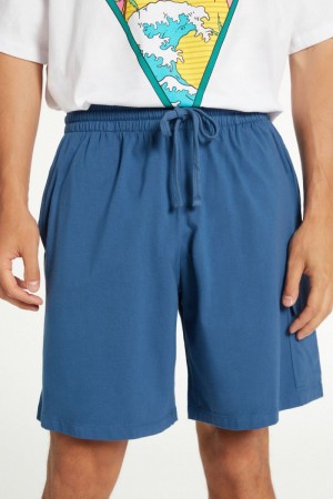 Pánské Šortky Tezenis Bavlněné with Pockets Blankyt | CZ-DX8267304